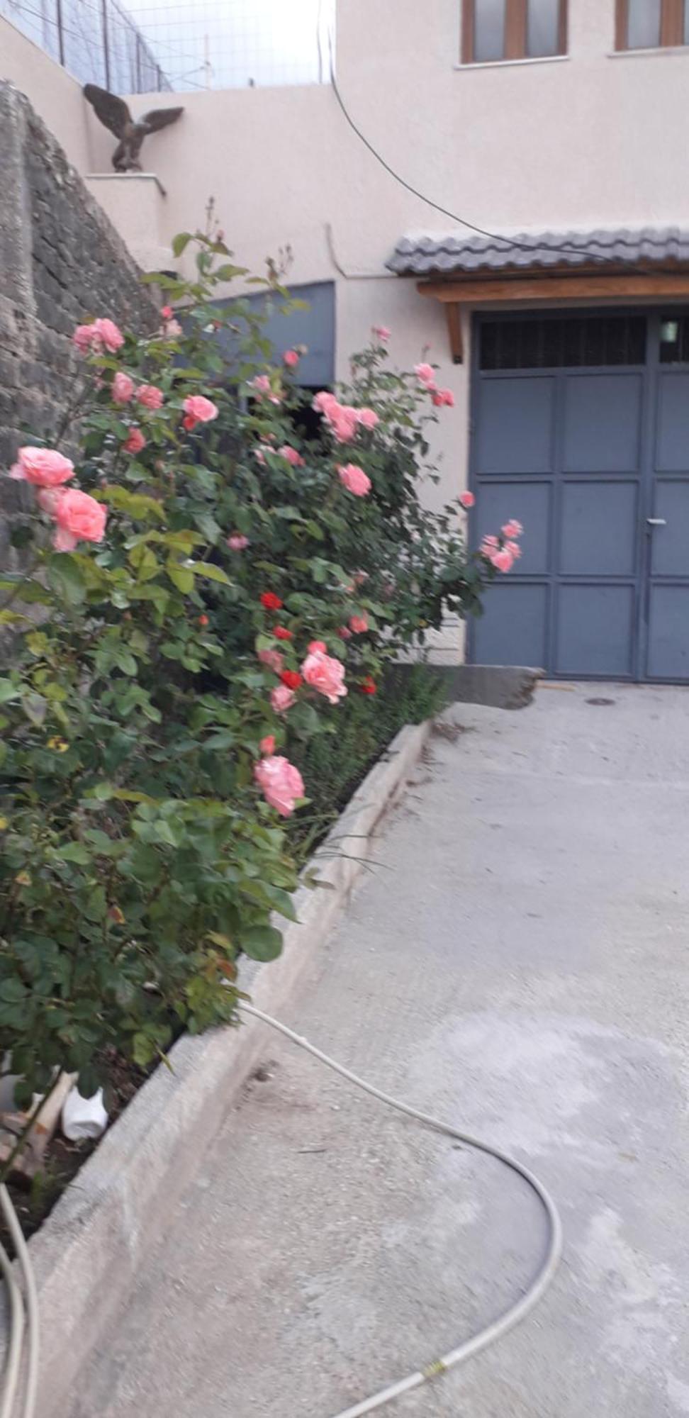 Shena Guest House Gjirokaster Luaran gambar